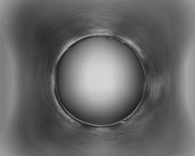 X0000116821383200912241232