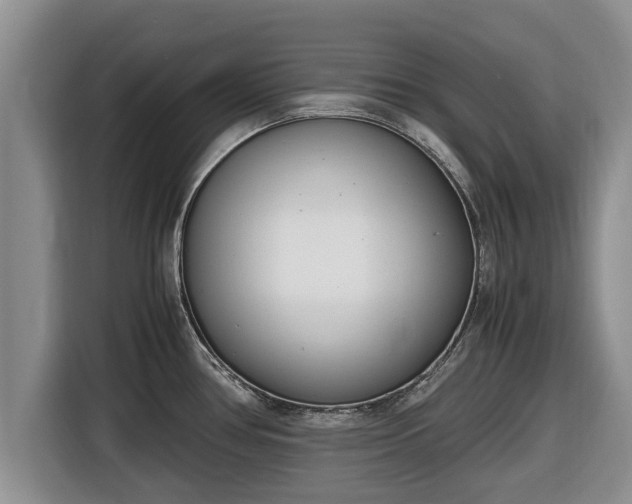 X0000116821386200912241232