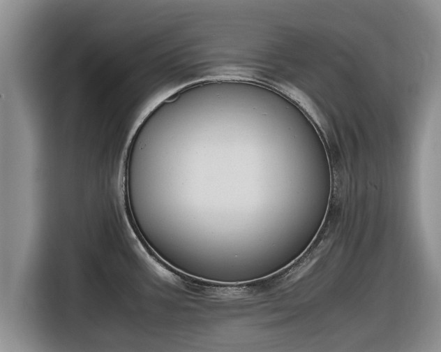 X0000116821387200912241232