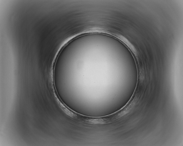 X0000116821388200912241232