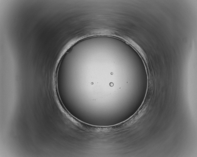 X0000116821389200912241232