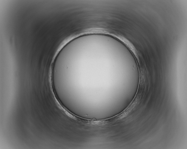 X0000116821390200912241232