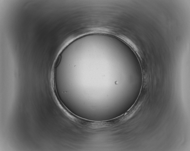 X0000116821391200912241232