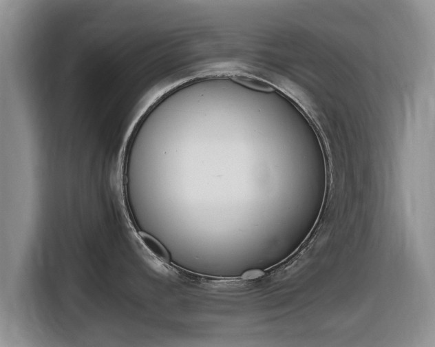 X0000116821392200912241232