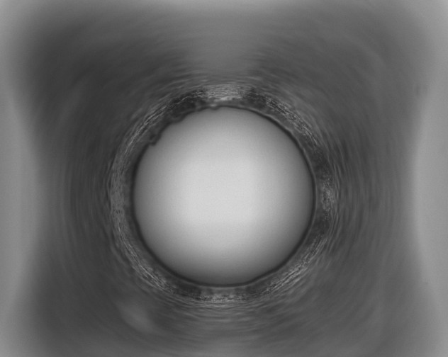 X0000116821393200912241231