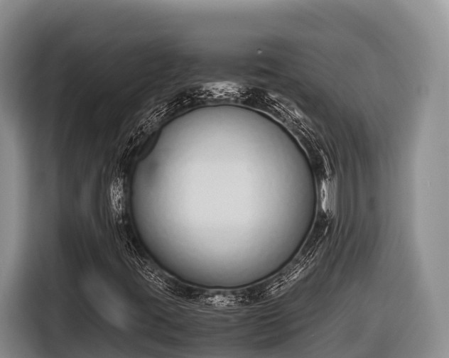 X0000116821395200912241231