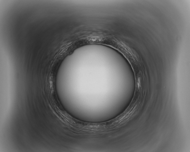 X0000116821396200912241231