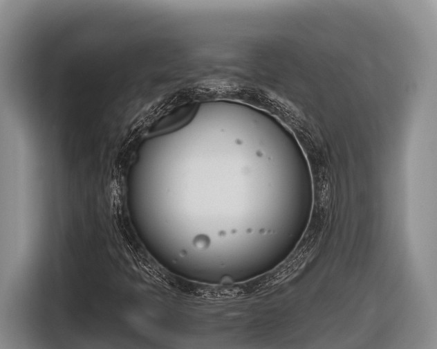 X0000116821397200912241231