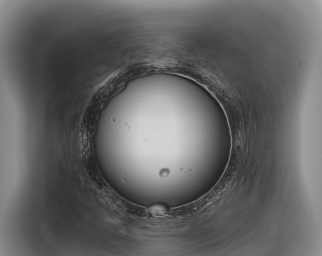 X0000116821398200912241231