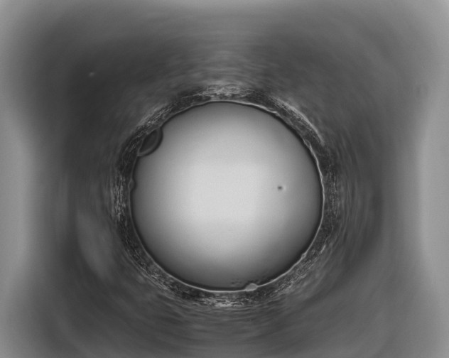 X0000116821399200912241231