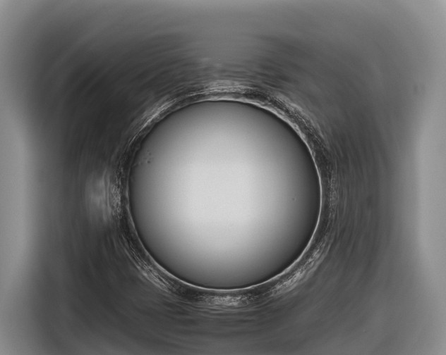 X0000116821401200912241231