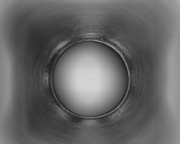 X0000116821402200912241231