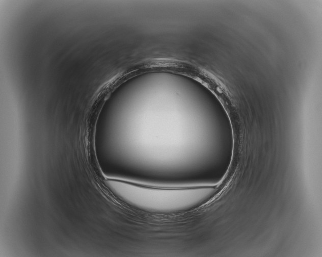 X0000116821403200912241231