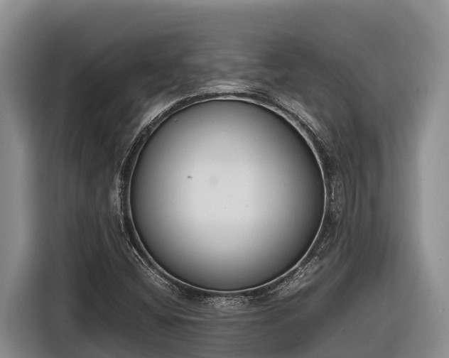 X0000116821404200912241231