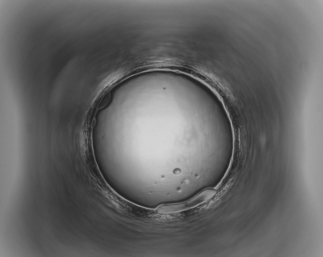 X0000116821405200912241231