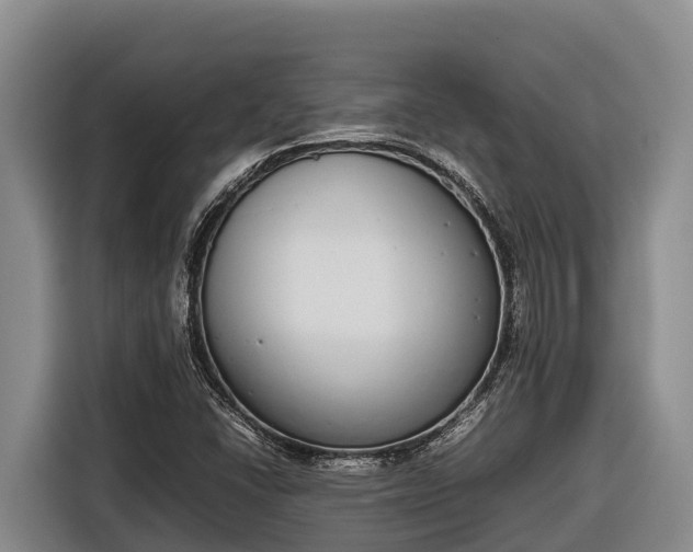 X0000116821406200912241231