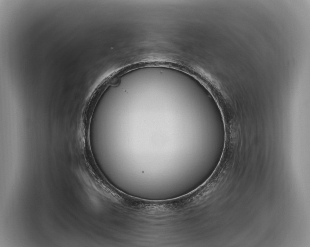 X0000116821408200912241232