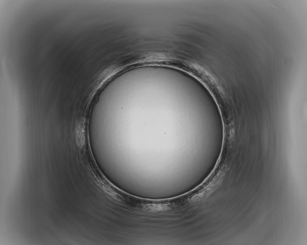 X0000116821409200912241232