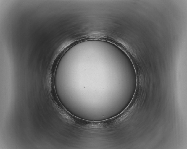 X0000116821410200912241232