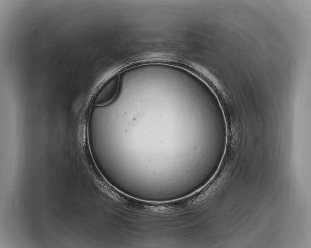 X0000116821413200912241232