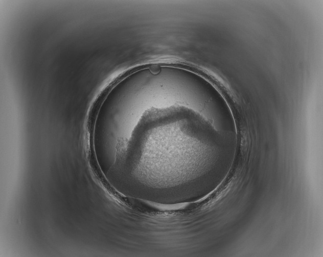 X0000116821414200912241232