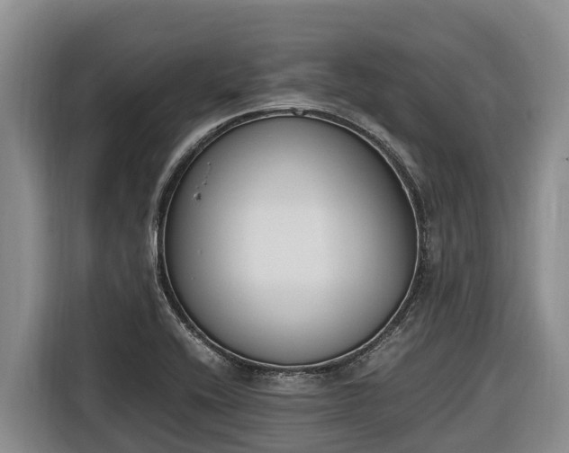 X0000116821416200912241232