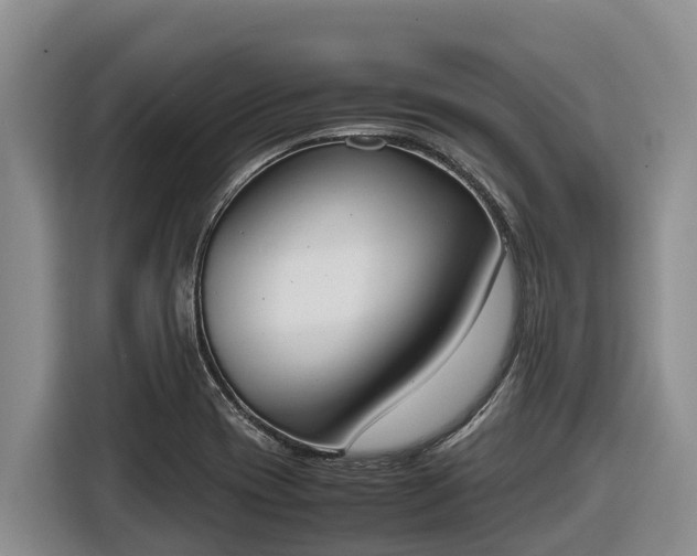 X0000116821417200912241232