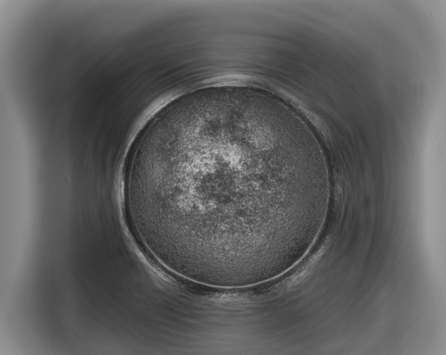 X0000116821418200912241232