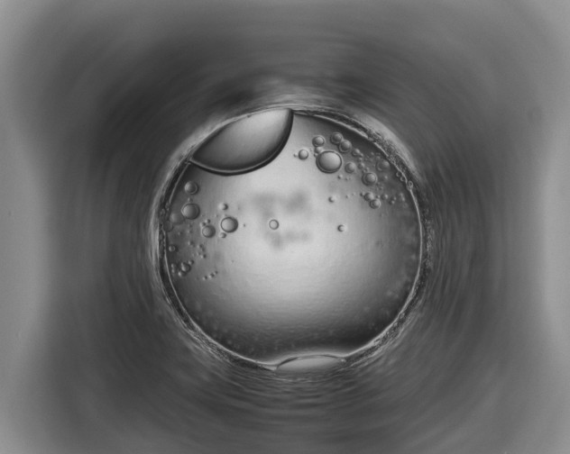 X0000116821419200912241232