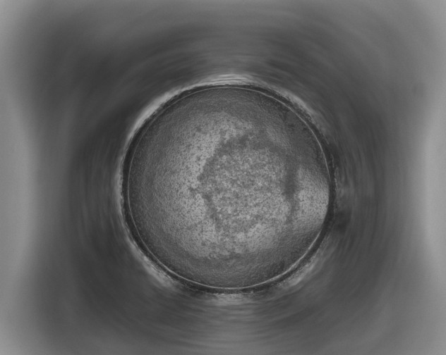 X0000116821422200912241232