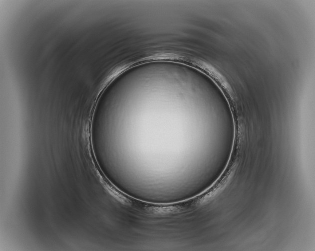 X0000116821425200912241232