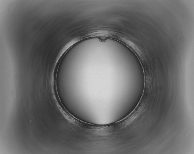 X0000116821426200912241232