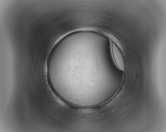 X0000116821428200912241232