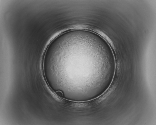 X0000116821429200912241232