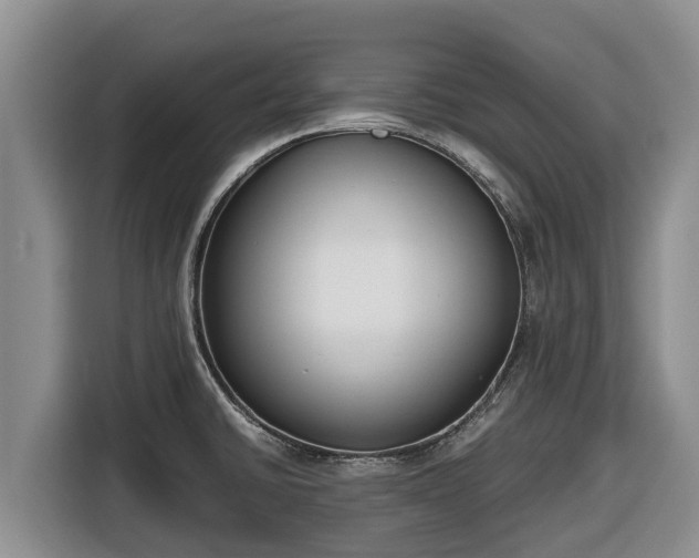 X0000116821430200912241232