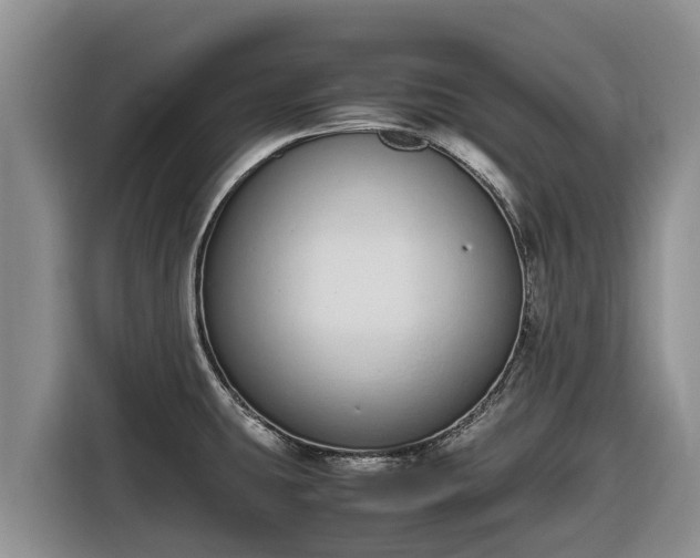 X0000116821431200912241232