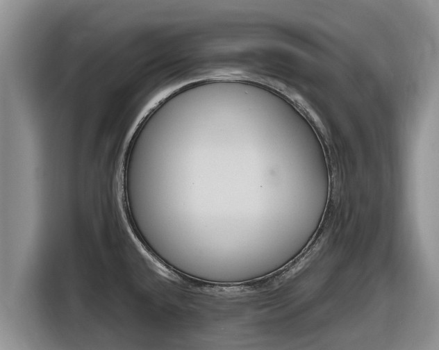 X0000116821432200912241232