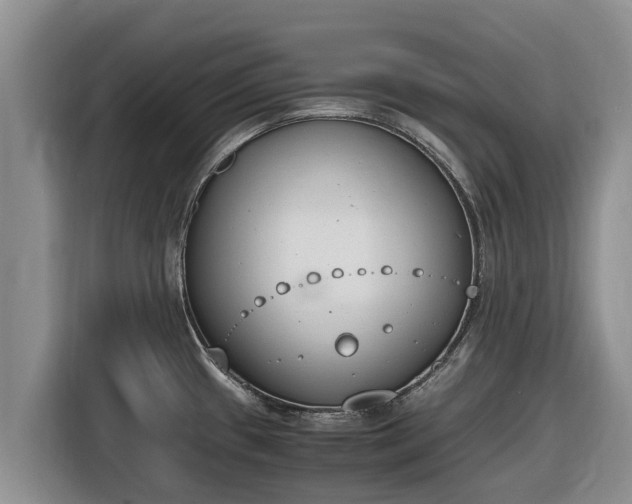 X0000116821433200912241232