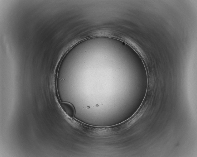 X0000116821434200912241232