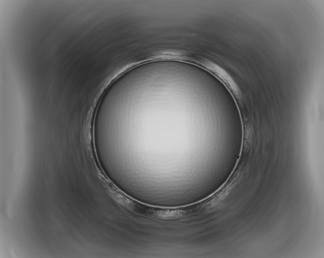 X0000116821435200912241232