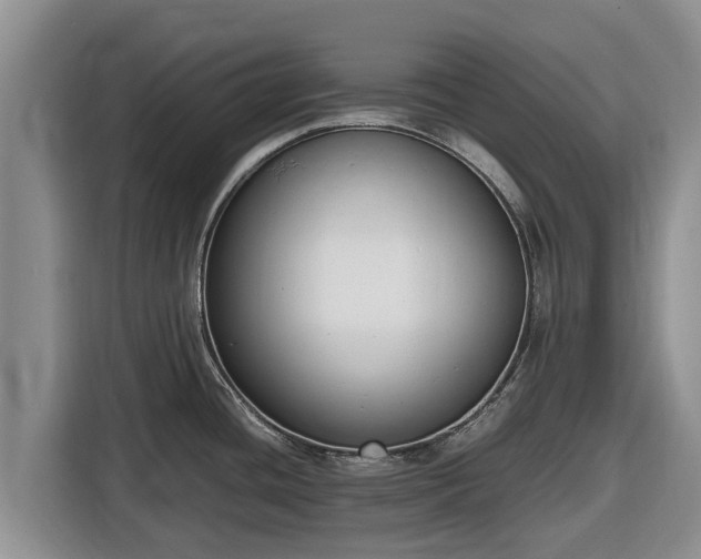 X0000116821436200912241232