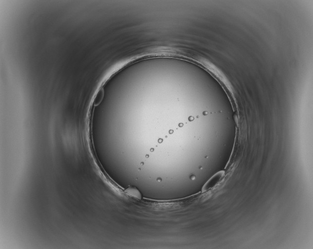 X0000116821437200912241232