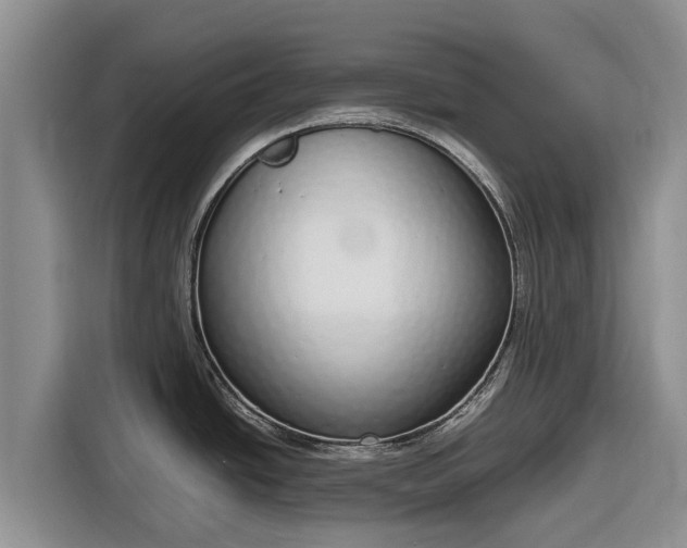 X0000116821438200912241232