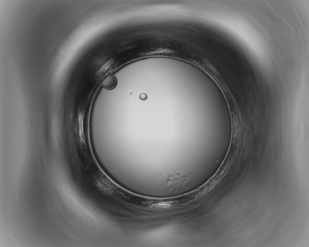 X0000116821439200912241232