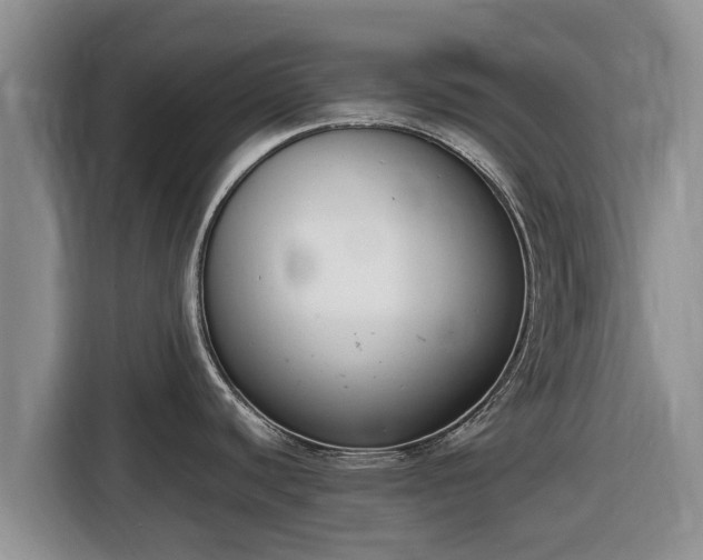 X0000116821440200912241232