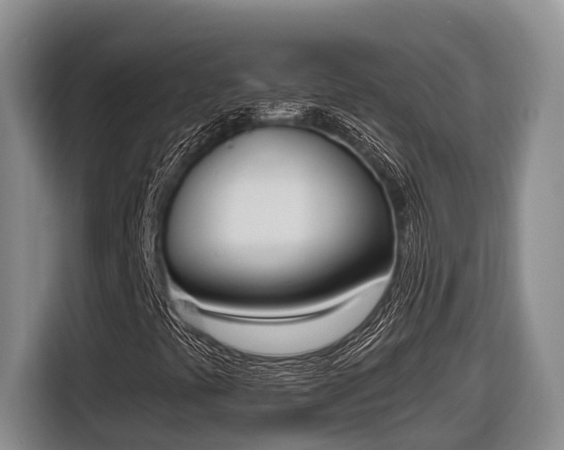 X0000116821441200912241231