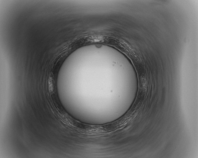 X0000116821442200912241231