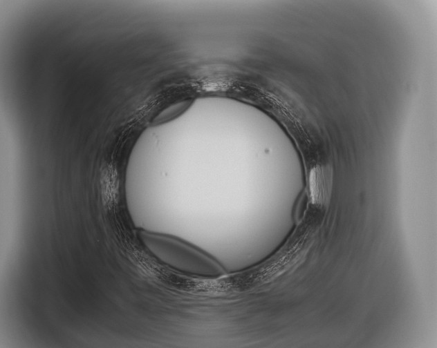 X0000116821443200912241231