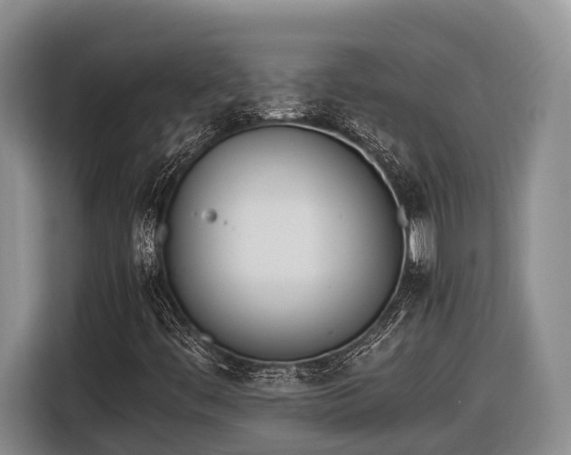 X0000116821444200912241231