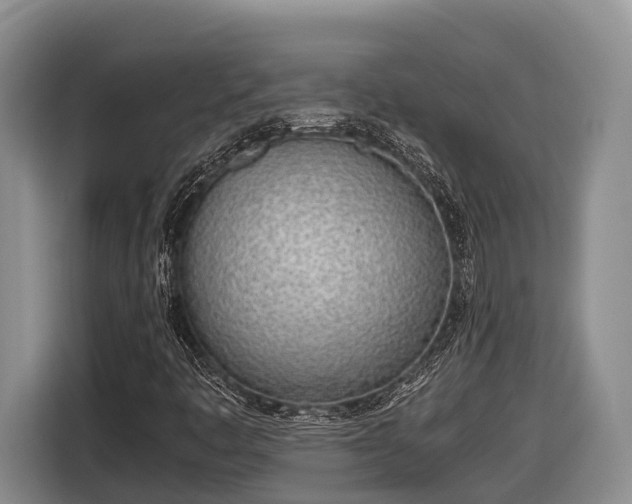 X0000116821445200912241231